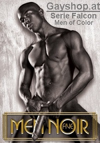 MEN NOIR 5 DVD FALCON - MEN OF COLOR