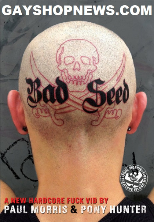 BAD SEED DVD - Treasure Island - Kategorie Skinhead