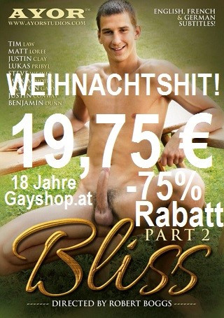 BLISS #2 DVD - Weihnachtshit - 75 % Rabatt statt 49 €