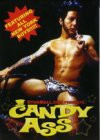 Candy Ass DVD Studmall Asianboys