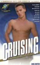 Cruising DVD - S.E.V.P. Schweden SEVP im Paket billiger!  	