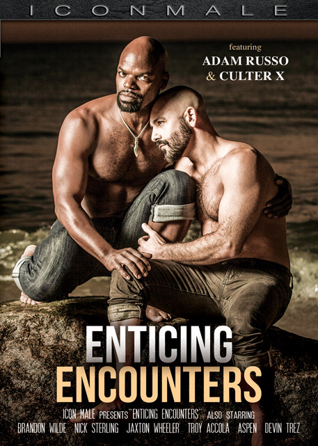 Enticing Encounters DVD ICONMALE (NEW!)