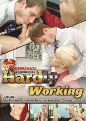 Hardly Working DVD - Wolfi Project Boys