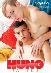 Hung Twinks 6 DVD Boyfun