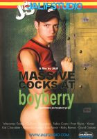 Massive Cocks at Boyberry DVD Jalifstudio mit Fisten!