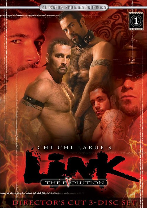 Link the Evolution DVD All Worlds Video Gay Sex