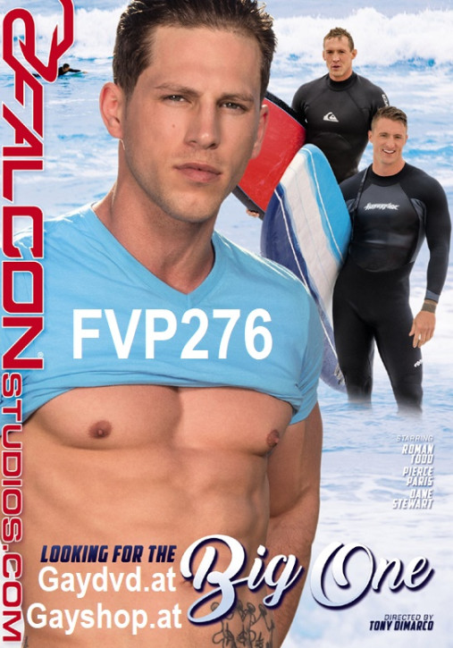 Looking For The Big One DVD FVP 276 Falcon Studios