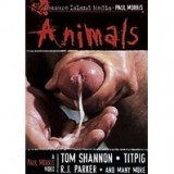 Animals DVD - Treasure Island - Paul Morros - Aktion