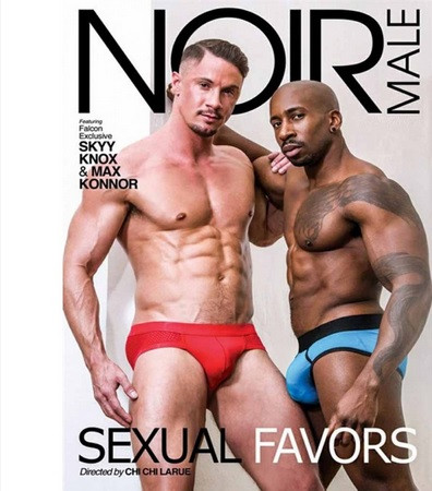 Sexual Favors DVD Noir Male Black & White!