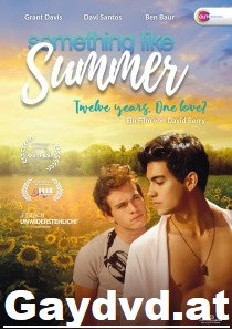 SOMETHING LIKE SUMMER DVD SPIELFILM 2022 NEW!