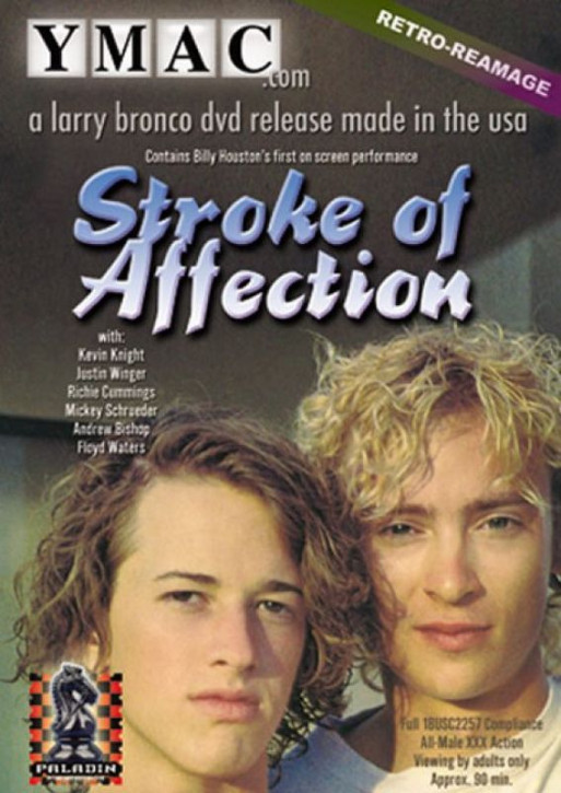 STROKE OF AFFECTION DVD - YMAC - 500 19,75 € Hits