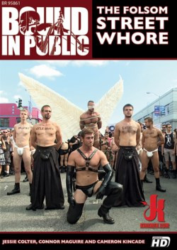 THE FOLSOM STREET WHORE DVD - Bound in Public