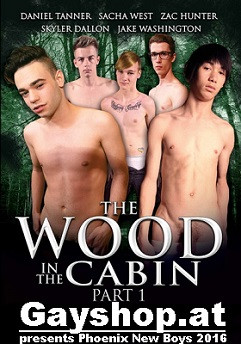 THE WOOD IN THE CABIN - PART 1  DVD Phoenix Kogl