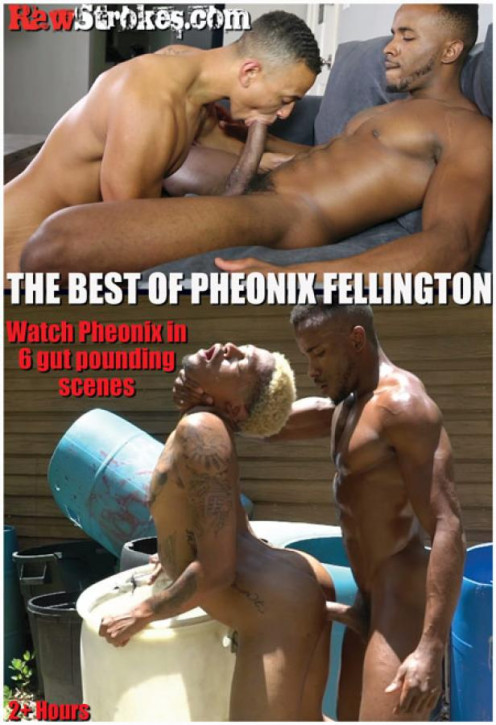 The Best of Pheonix Fellington DVD Raw Strockes