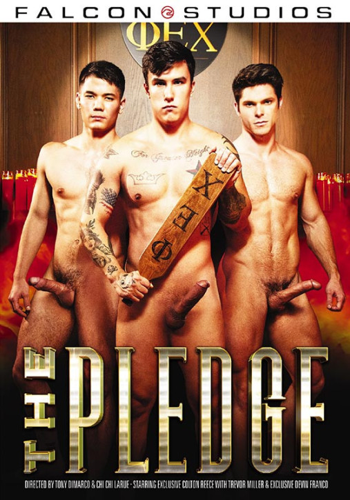 The Pledge DVD Falconstudios über 500 DVDs davon!