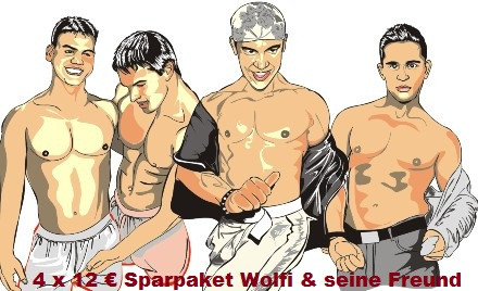 Wolfis 4 DVDs x 12 € Paket - Portofrei Vorkassa