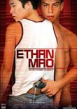 Quentin Lee (R): Ethan Mao - DVD - Spielfilm - AKTION !