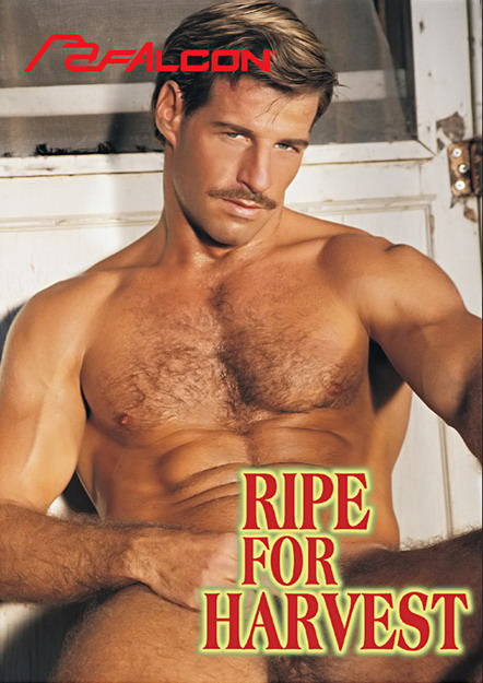 Ripe For Harvest DVD Falcon Studios K-FVP102