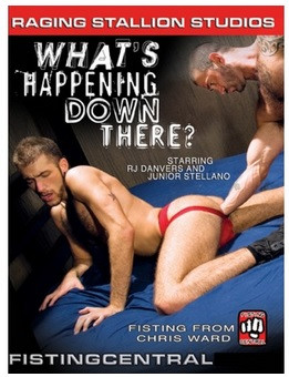 What`s Happening down there DVD Raging Stallion