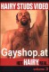 Hersteller: Hairy Studs Video (Neu)