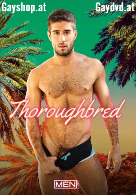 Thoroughbred DVD Men von Gayshop.at & Gaydvd.at!