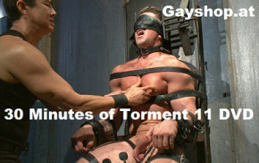 30 Minutes of Torment 11 DVD Electro Schock Company