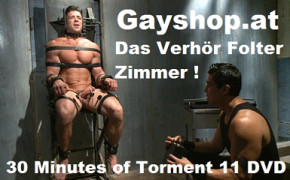 30 Minutes of Torment 11 DVD Electro Schock Company