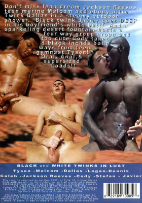 Black and White Twinks in Lust DVD Miami Studios Twinks