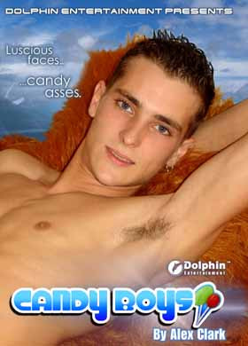 Dolphin Russia - Sparpaket - 15 x 19,99 € gaydvd