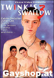 Twink's Swallow 3 DVD - Eboys Rebel Sticky