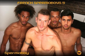 French Spermoboys 5: Enjoy French Cream DVD 