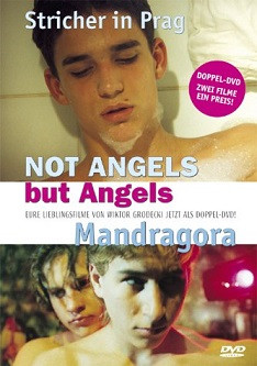 Not Angels But Angels / Mandragora [2 DVDs] 2016 Hit!