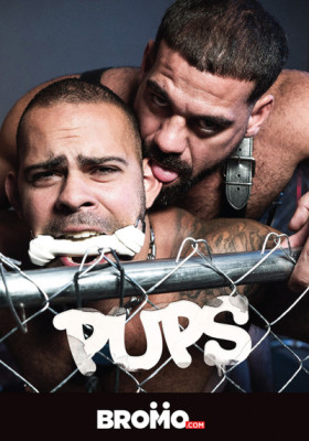 Pups DVD Bromo Studio KERLE OSTERHIT stat 49,75 €