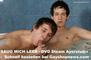 Steam DVD - GRATIS ab Einkauf v. 199 €! NEU! 