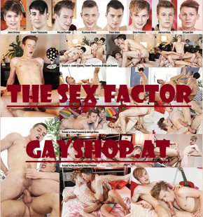 The Sex Factor DVD - *Billiges Schnäppchen < 40 €