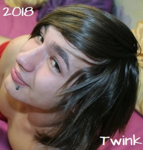 Twink alicious Part 2 DVD - Twinkalicious 20 € Discount!