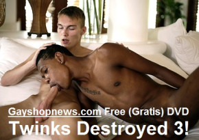 Twinks Destroyed 3 DVD - Gratis DVD ab 199 € Einkauf!