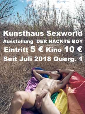 Kunst & Erotikshop & Kino SEXWORLD Graz Querg. 1!