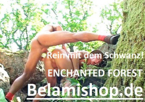 Enchanted Forest - Schönsten Boys v. Belamishop.de