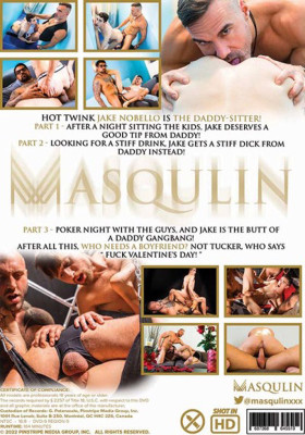 The Daddy Sitter DVD Masqulin